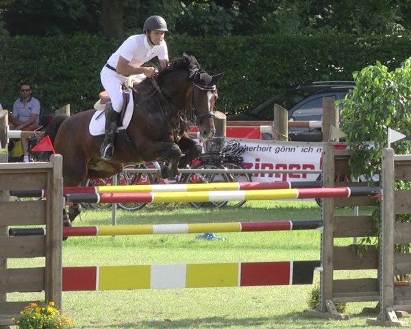 Reitturnier Legelshurst 2018