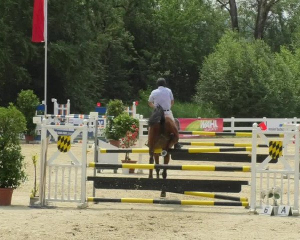 Reitturnier Isny-Rohrdorf 2018