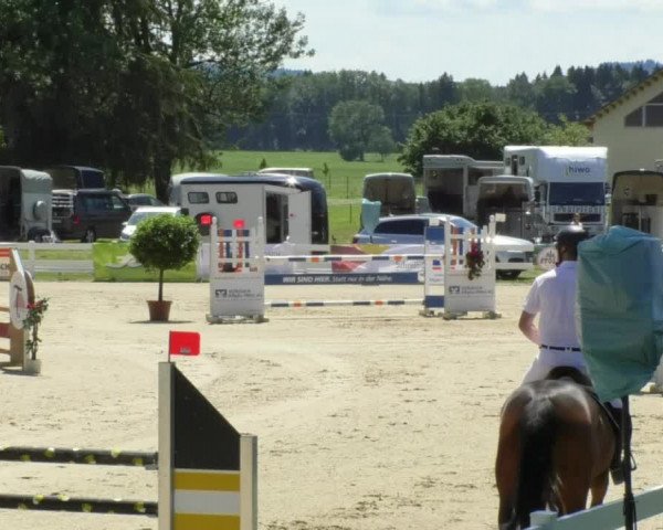 Reitturnier Isny-Rohrdorf 2018