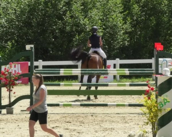 Reitturnier Isny-Rohrdorf 2018