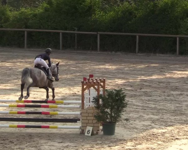 Reitturnier Erkrath - Uhlenhof 2018