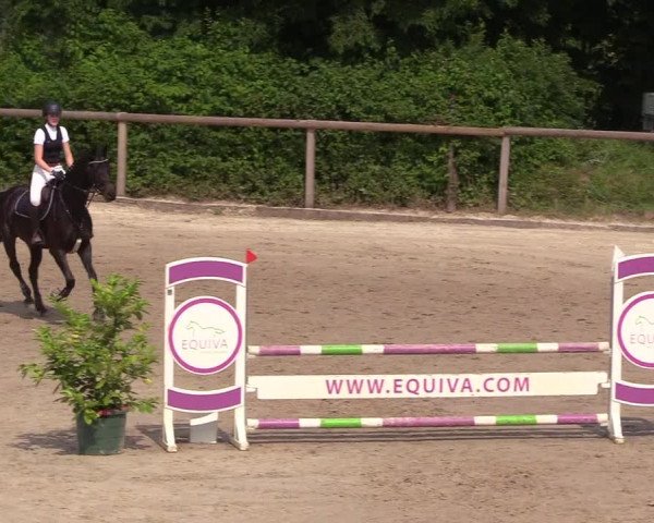 Reitturnier Erkrath - Uhlenhof 2018