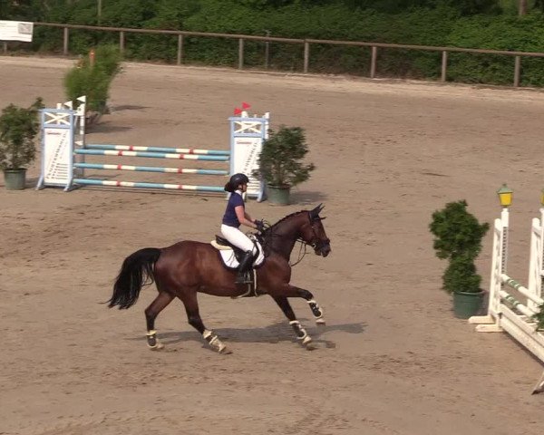 Reitturnier Erkrath - Uhlenhof 2018