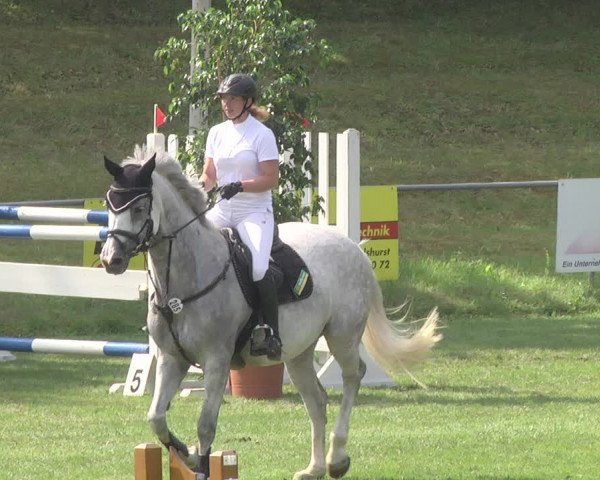 Reitturnier Legelshurst 2018