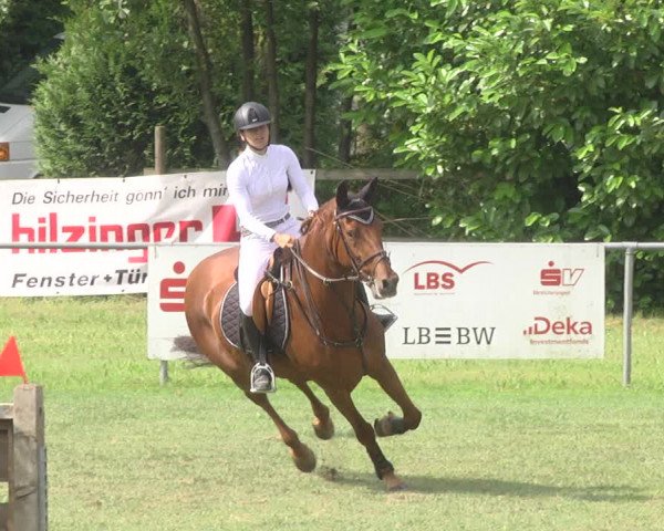 Reitturnier Legelshurst 2018
