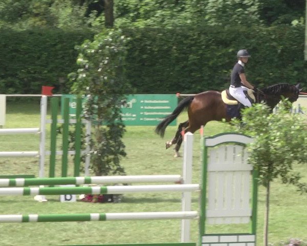 Reitturnier Legelshurst 2018
