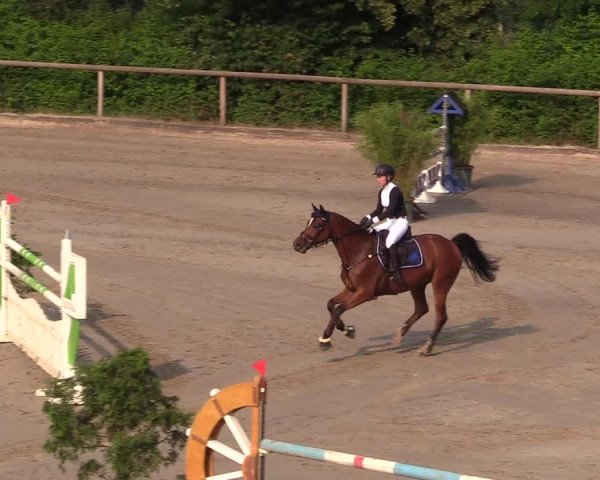 Reitturnier Erkrath - Uhlenhof 2018