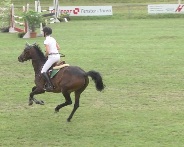 Reitturnier Legelshurst 2018