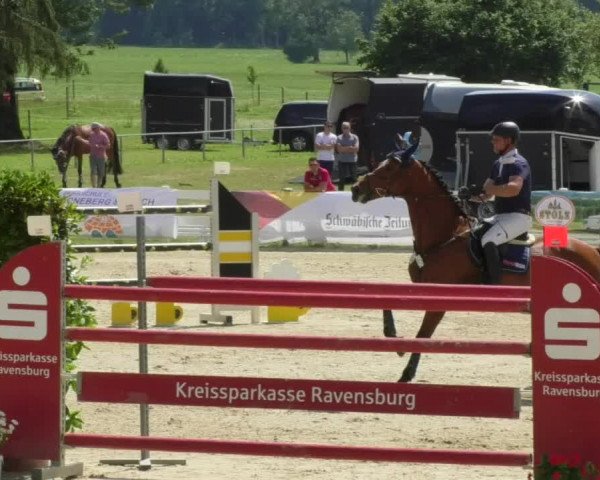 Reitturnier Isny-Rohrdorf 2018