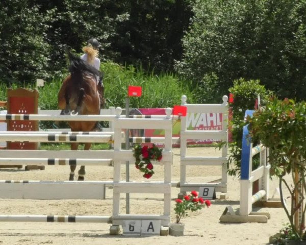 Reitturnier Isny-Rohrdorf 2018