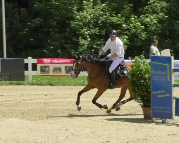 Reitturnier Isny-Rohrdorf 2018