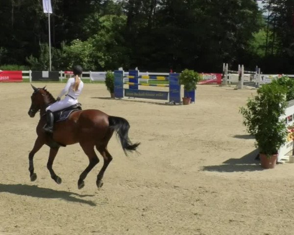 Reitturnier Isny-Rohrdorf 2018