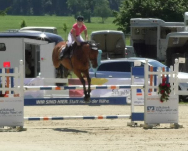 Reitturnier Isny-Rohrdorf 2018