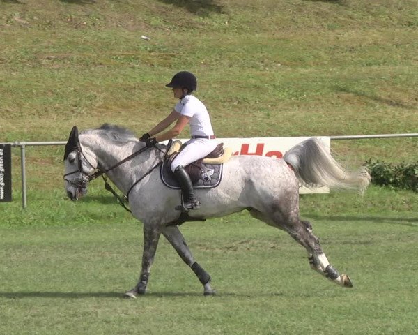 Reitturnier Legelshurst 2018