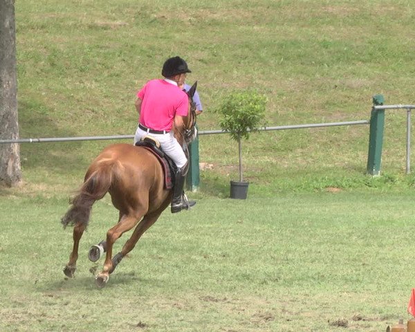 Reitturnier Legelshurst 2018