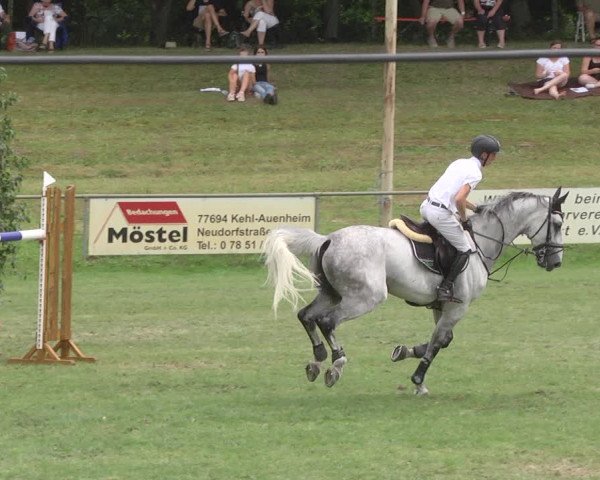 Reitturnier Legelshurst 2018