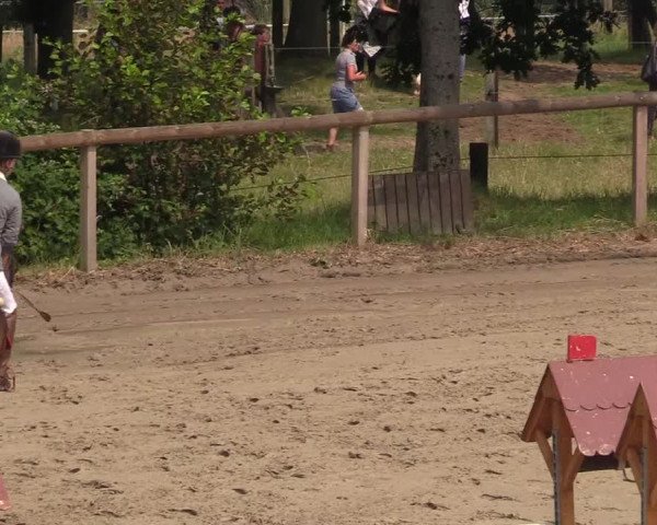 Reitturnier Erkrath - Uhlenhof 2018