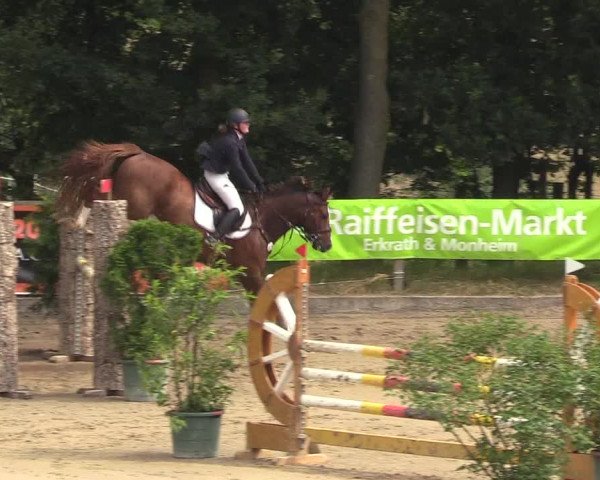 Reitturnier Erkrath - Uhlenhof 2018