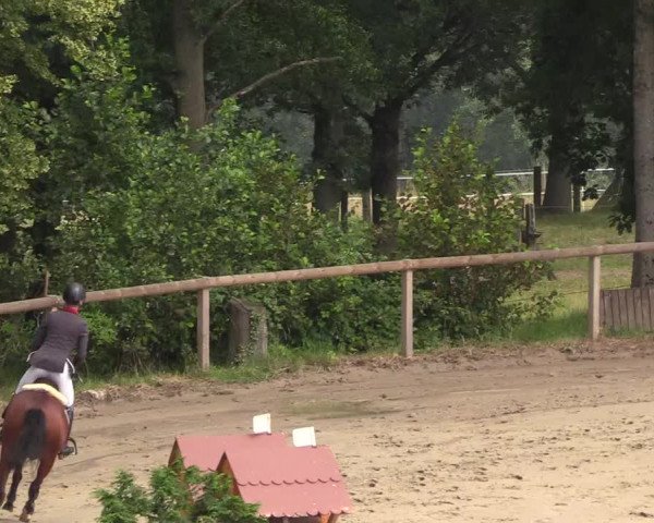 Reitturnier Erkrath - Uhlenhof 2018