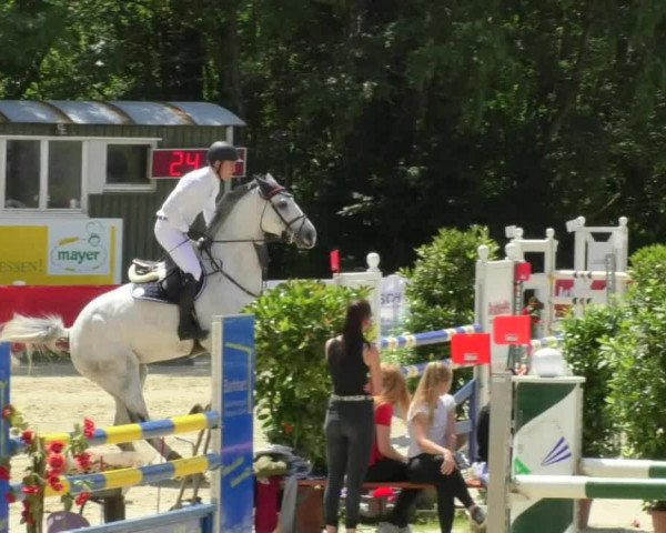 Reitturnier Isny-Rohrdorf 2018