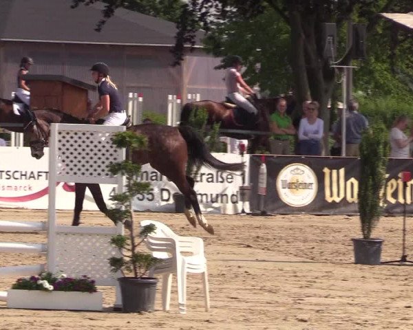 Reitturnier Dortmund-Asseln 2018