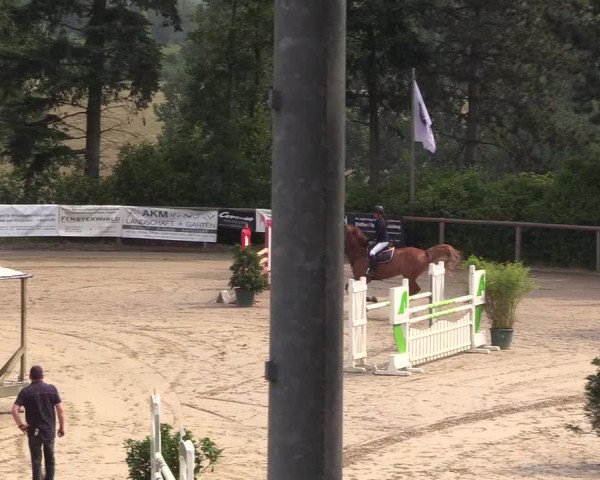 Reitturnier Erkrath - Uhlenhof 2018