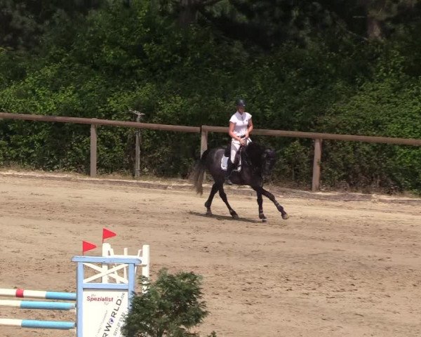 Reitturnier Erkrath - Uhlenhof 2018