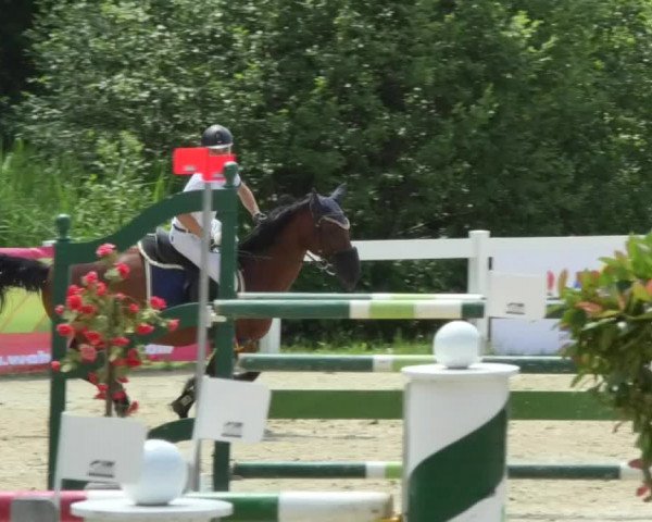 Reitturnier Isny-Rohrdorf 2018