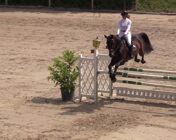 Reitturnier Erkrath - Uhlenhof 2018