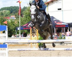 jumper Carambalou (Holsteiner, 2012, from Clinton I)