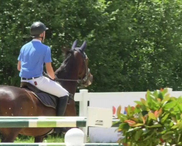 Reitturnier Isny-Rohrdorf 2018
