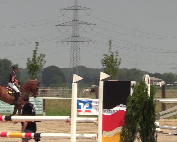 Reitturnier Dortmund-Asseln 2018