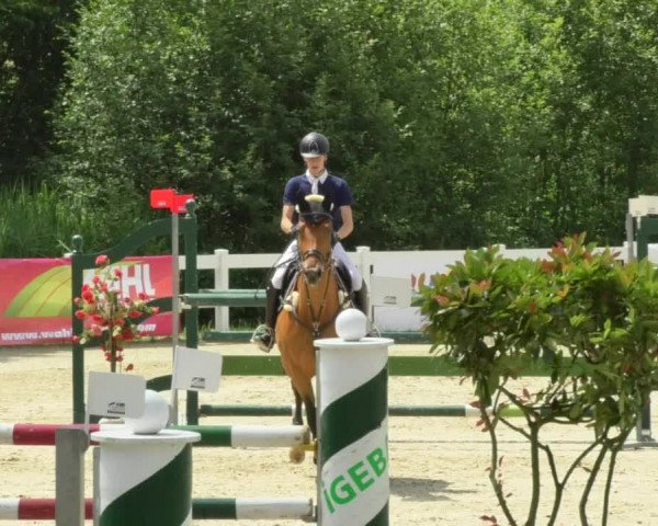 Reitturnier Isny-Rohrdorf 2018