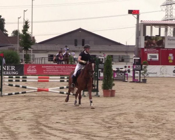 Reitturnier Dortmund-Asseln 2018