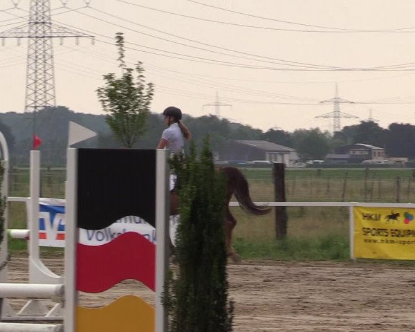 Reitturnier Dortmund-Asseln 2018