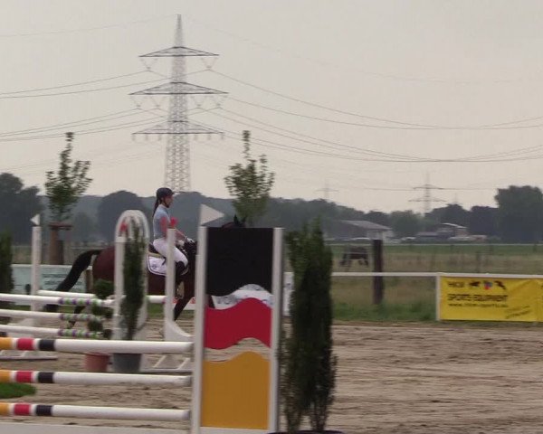 Reitturnier Dortmund-Asseln 2018
