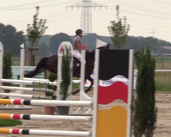 Reitturnier Dortmund-Asseln 2018