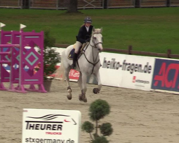 Reitturnier Westergellersen 2021