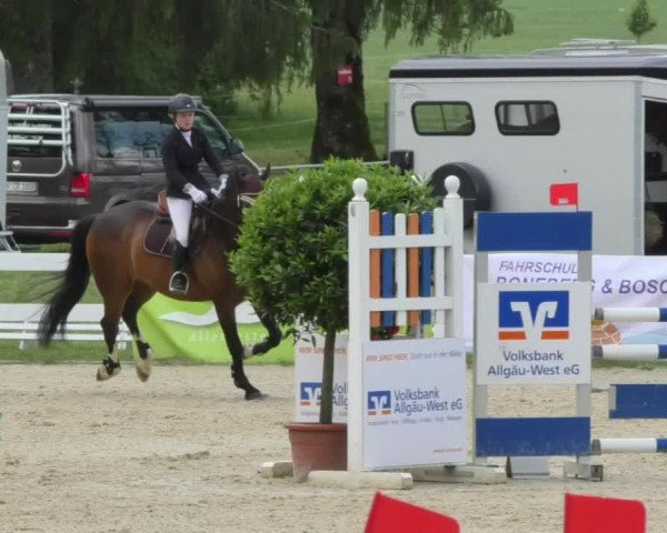 Reitturnier Isny-Rohrdorf 2018