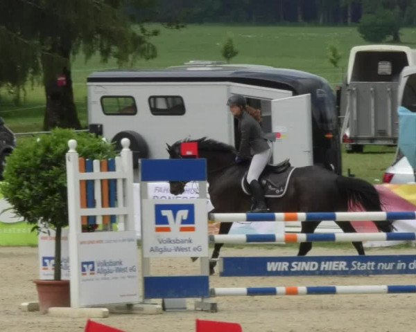 Reitturnier Isny-Rohrdorf 2018