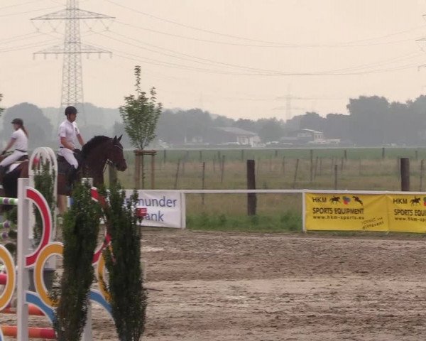 Reitturnier Dortmund-Asseln 2018