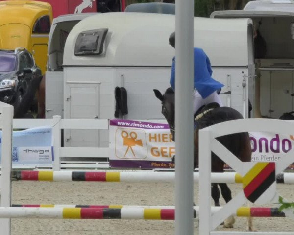 Reitturnier Isny-Rohrdorf 2018