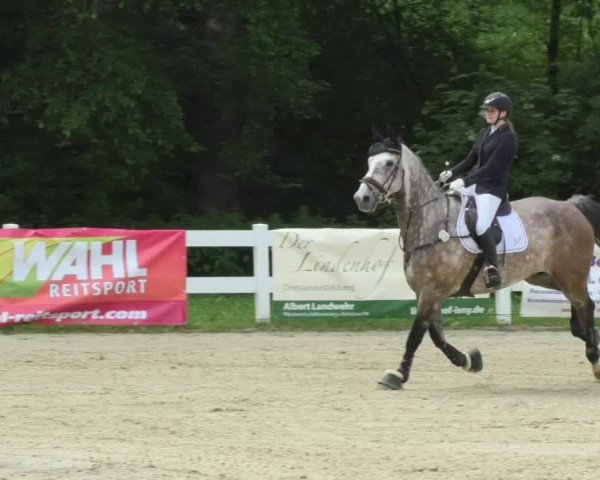 Reitturnier Isny-Rohrdorf 2018