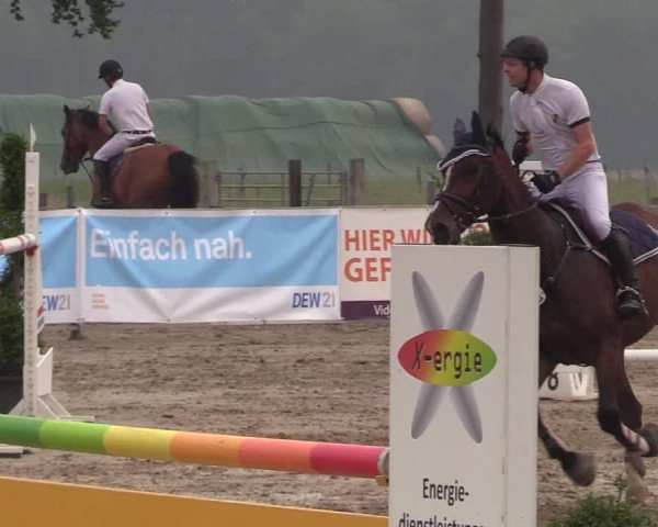 Reitturnier Dortmund-Asseln 2018