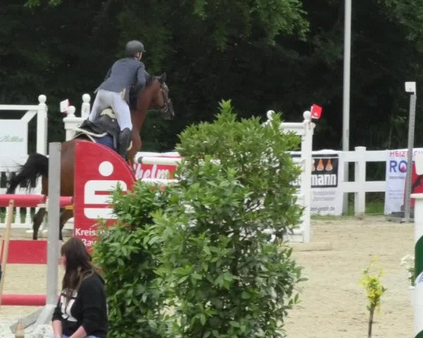 Reitturnier Isny-Rohrdorf 2018