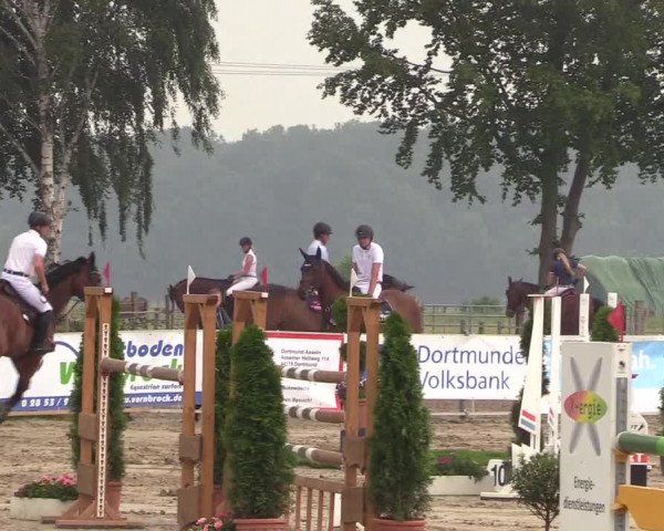 Reitturnier Dortmund-Asseln 2018
