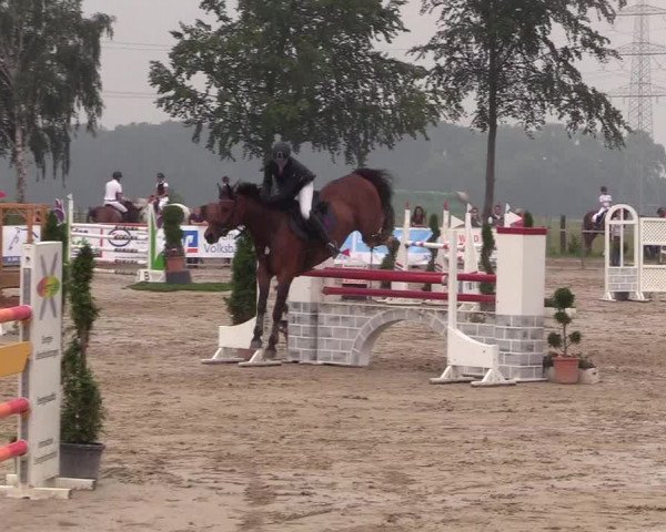 Reitturnier Dortmund-Asseln 2018