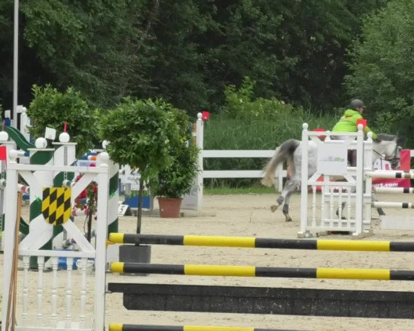 Reitturnier Isny-Rohrdorf 2018