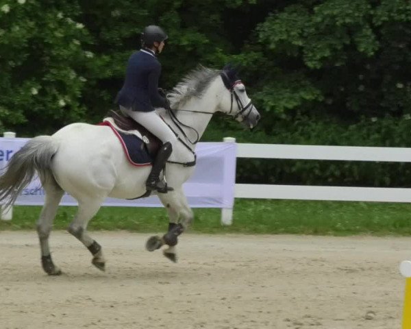 Reitturnier Isny-Rohrdorf 2018