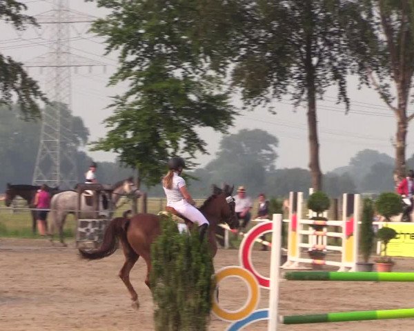 Reitturnier Dortmund-Asseln 2018